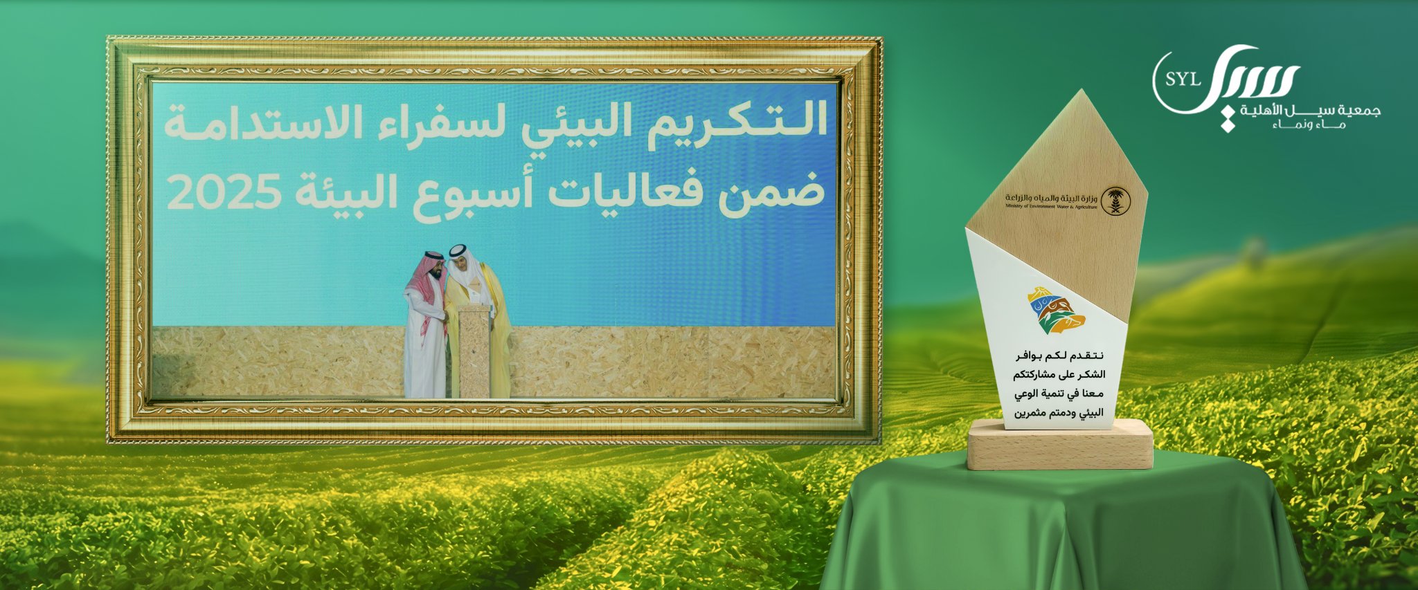 جمعية سيل الأهلية